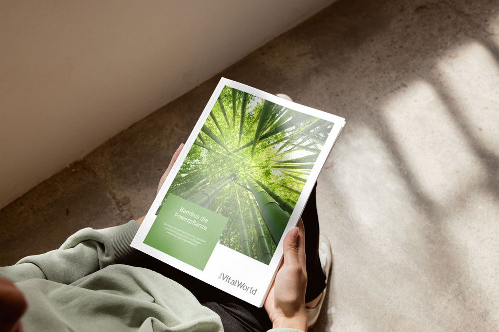 Broschüre Bambus