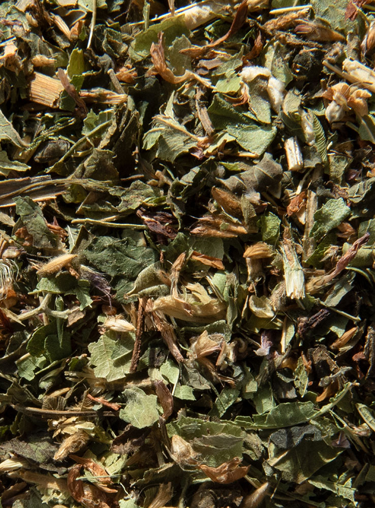 Tages-Tee – Bild 2